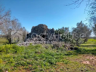 Rustico/Casale in vendita a Ruffano - foto 5