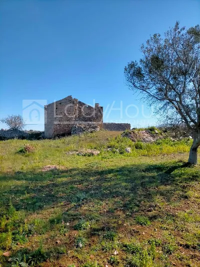 Rustico/Casale in vendita a Ruffano - foto 7
