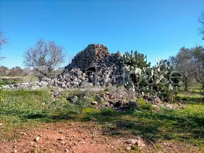 Rustico/Casale in vendita a Ruffano - foto 8