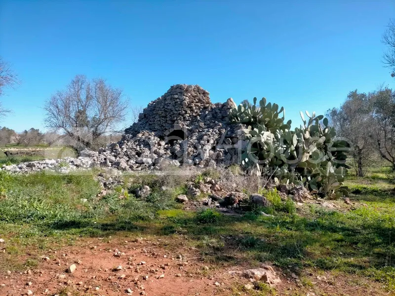 Rustico/Casale in vendita a Ruffano - foto 8