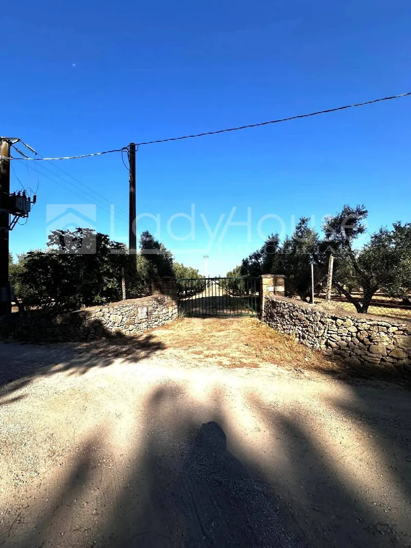 Villa in vendita a Alezio - foto 10