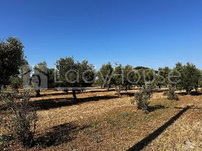 Villa in vendita a Alezio - foto 2