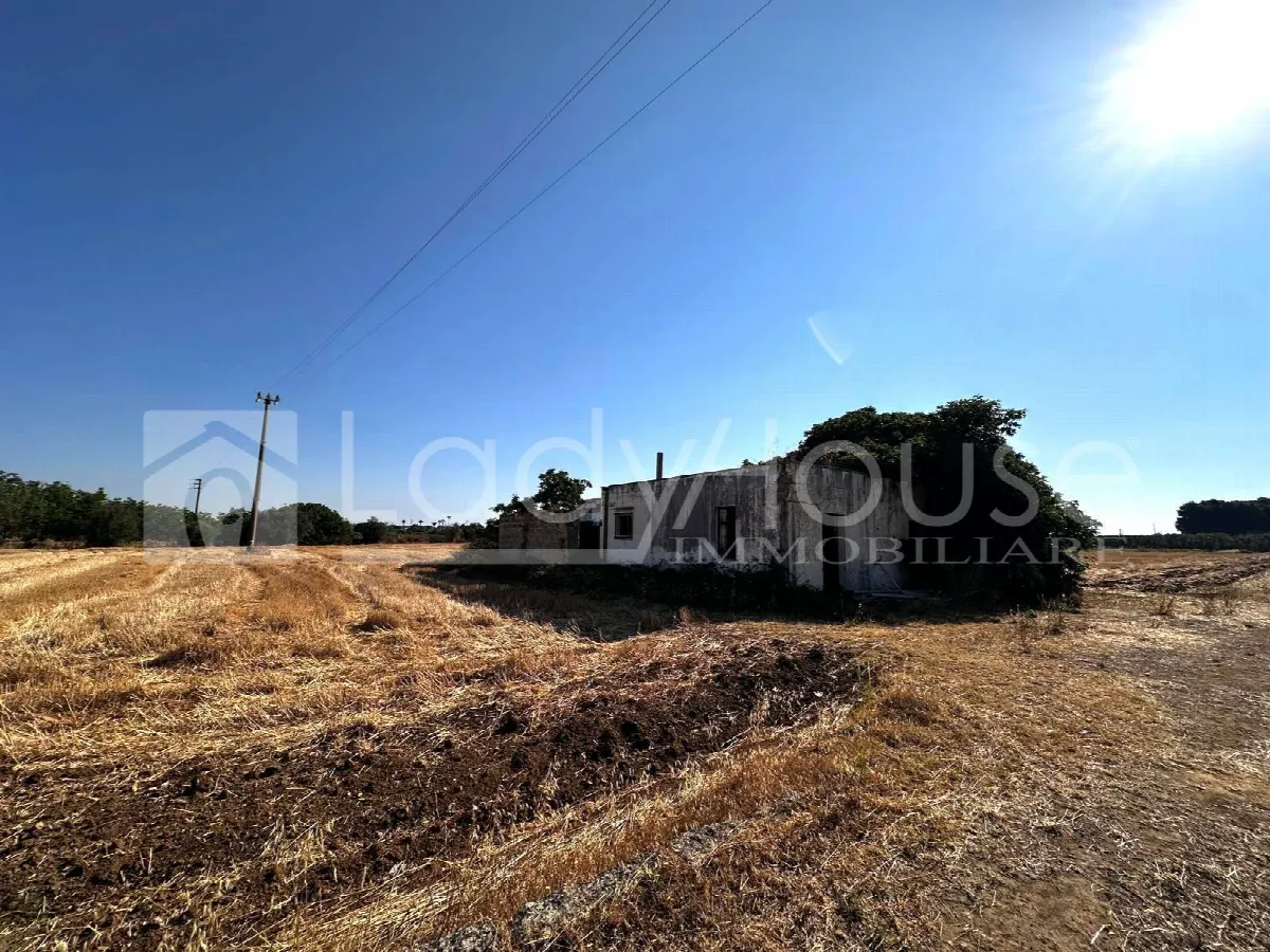 Villa in vendita a Alezio - foto 3
