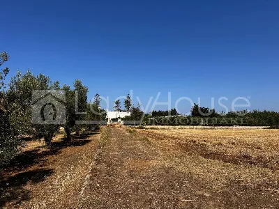 Villa in vendita a Alezio - foto 4