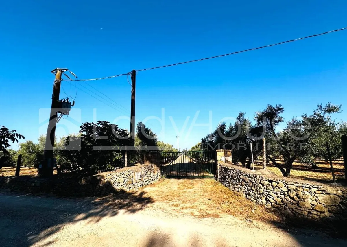 Villa in vendita a Alezio - foto 5