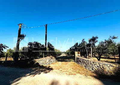 Villa in vendita a Alezio - foto 5