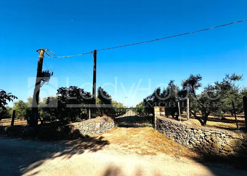 Villa in vendita a Alezio - foto 5