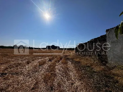 Villa in vendita a Alezio - foto 6