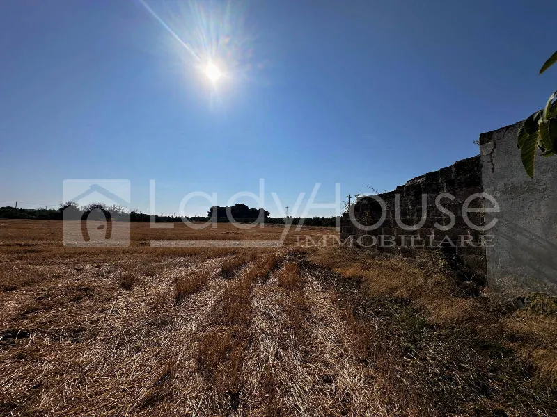 Villa in vendita a Alezio - foto 6