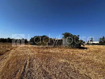 Villa in vendita a Alezio - foto 7