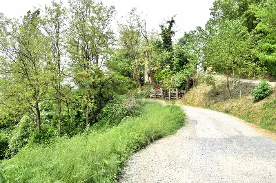 Casa Indipendente in vendita a Fornovo di ... - foto 7