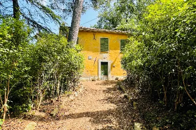 Rustico/Casale in vendita a Pesaro, Novila... - foto 6