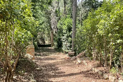 Rustico/Casale in vendita a Pesaro, Novila... - foto 7