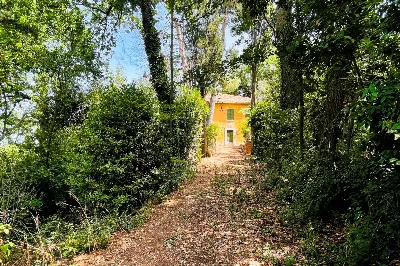 Rustico/Casale in vendita a Pesaro, Novila... - foto 8