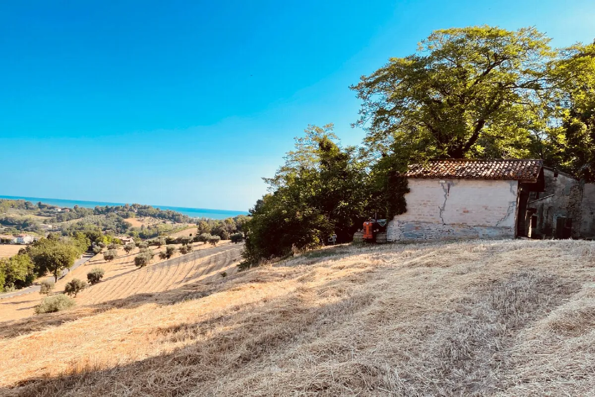 Rustico/Casale in vendita a Pesaro, Novilara, Candelara, Santa Maria Dell'arzilla - foto 3