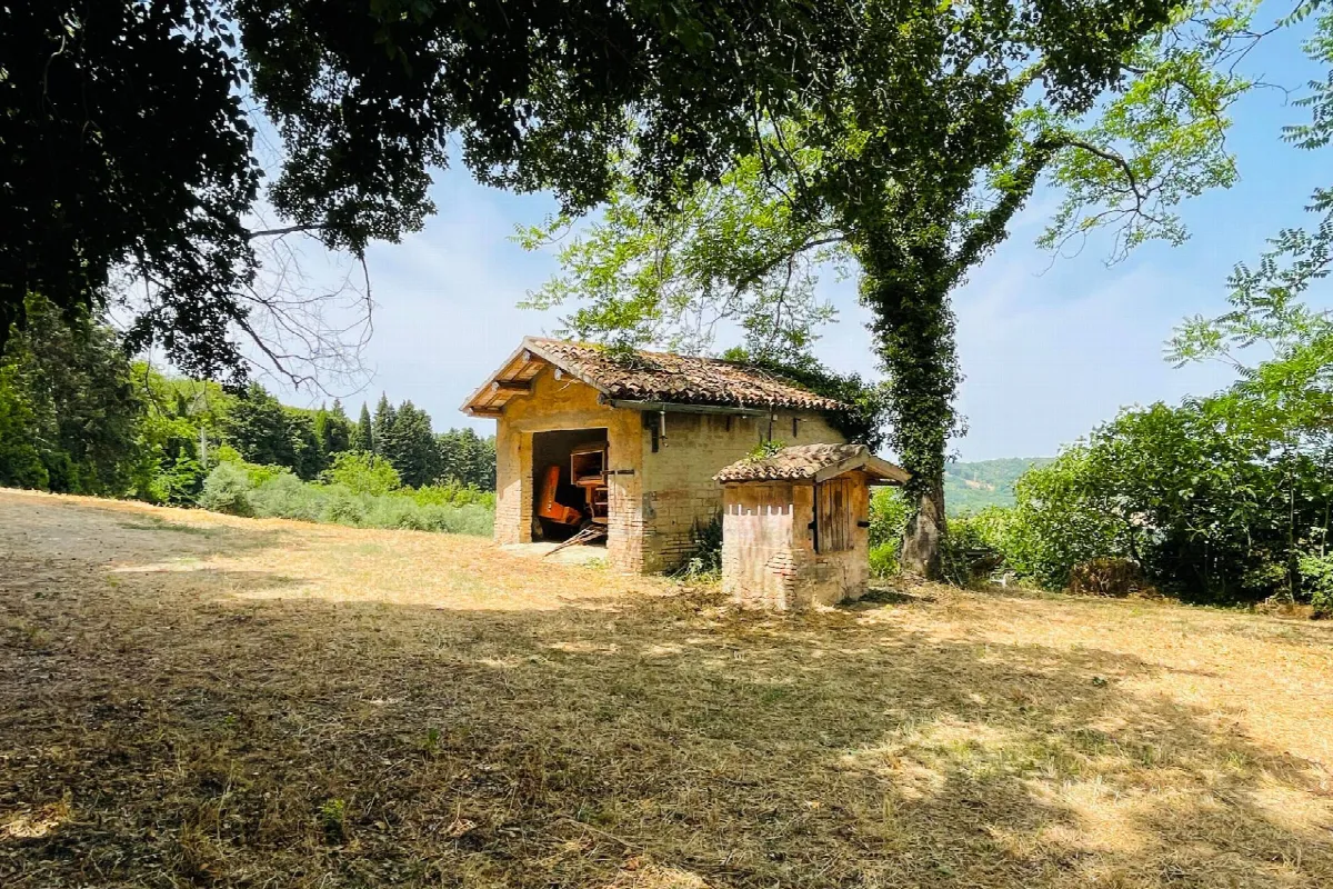 Rustico/Casale in vendita a Pesaro, Novilara, Candelara, Santa Maria Dell'arzilla - foto 5