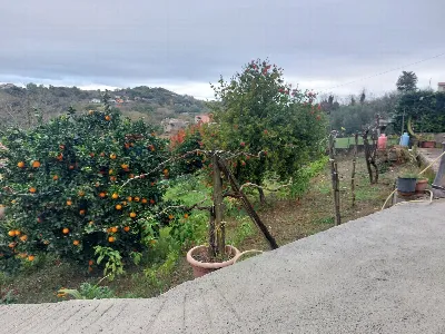 Casa Indipendente in vendita a San Leucio ... - foto 6