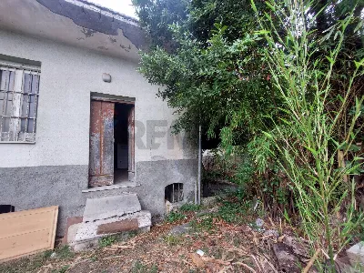 Rustico/Casale in vendita a San Leucio del... - foto 5