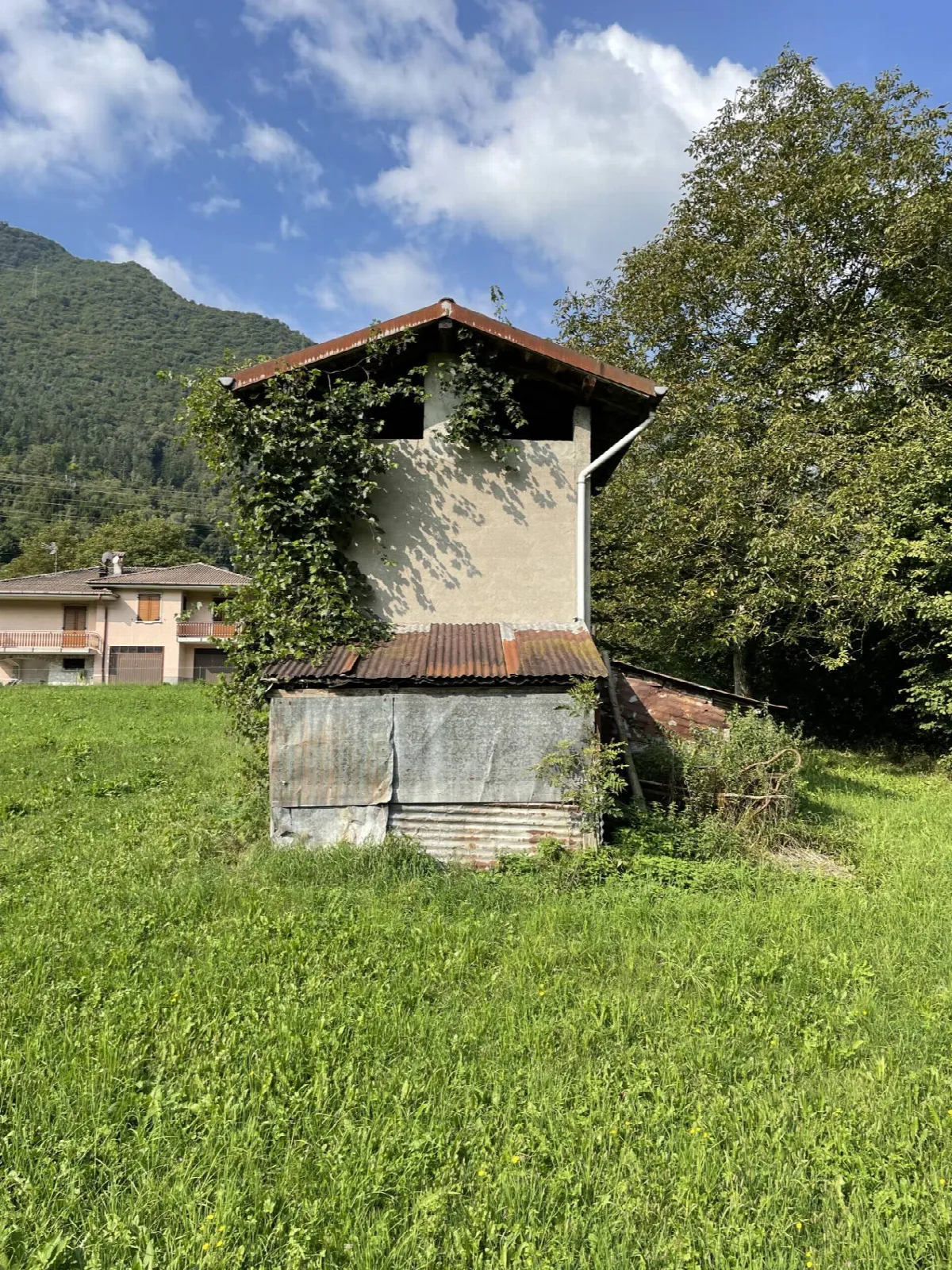 Rustico/Casale in vendita a San Giovanni Bianco - foto 3
