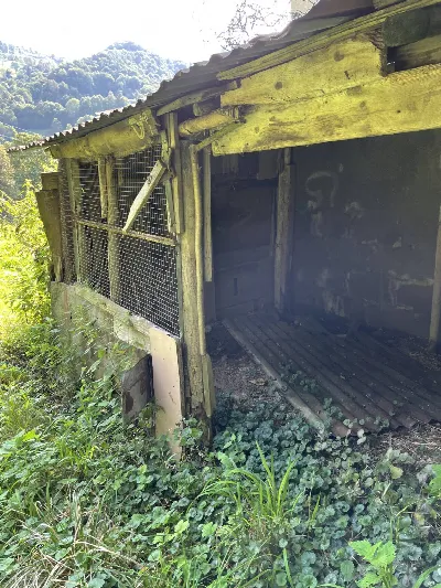Rustico/Casale in vendita a San Giovanni B... - foto 6
