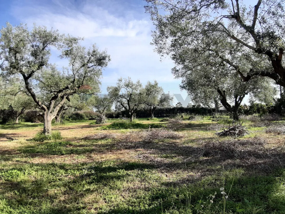 Casa Indipendente in vendita a Ladispoli - foto 4
