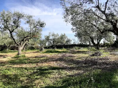 Casa Indipendente in vendita a Ladispoli - foto 4