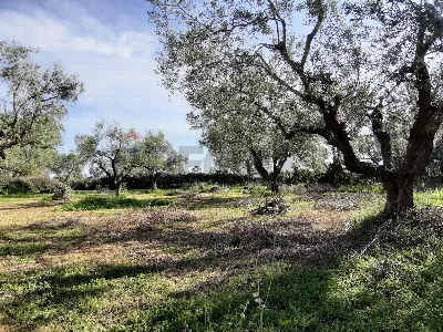 Casa Indipendente in vendita a Ladispoli - foto 5