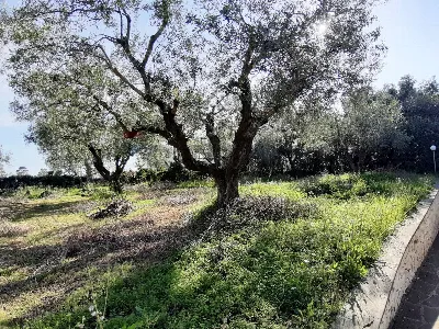 Casa Indipendente in vendita a Ladispoli - foto 6