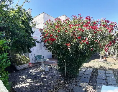 Villa in vendita a Cerveteri - foto 4
