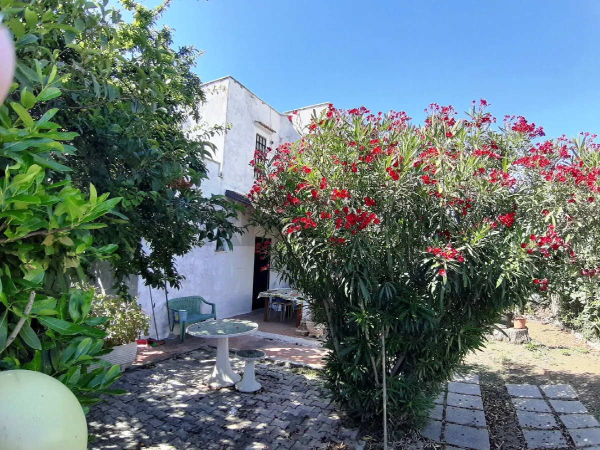 Villa in vendita a Cerveteri - foto 5