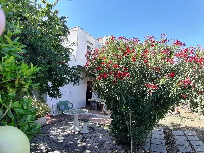 Villa in vendita a Cerveteri - foto 5