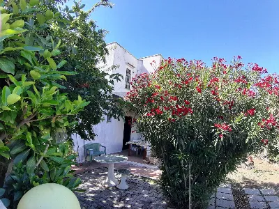 Villa in vendita a Cerveteri - foto 6