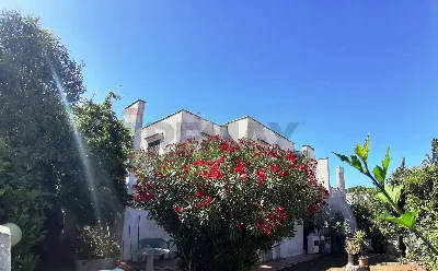Villa in vendita a Cerveteri - foto 7