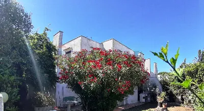 Villa in vendita a Cerveteri - foto 8
