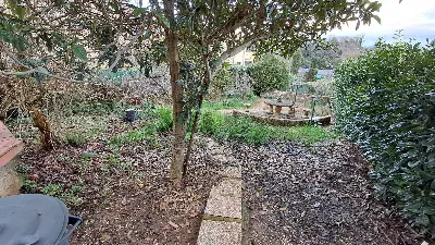 Villa in vendita a Manziana - foto 6