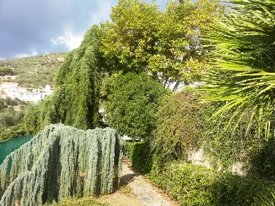 Villa in vendita a Castellaro - foto 7