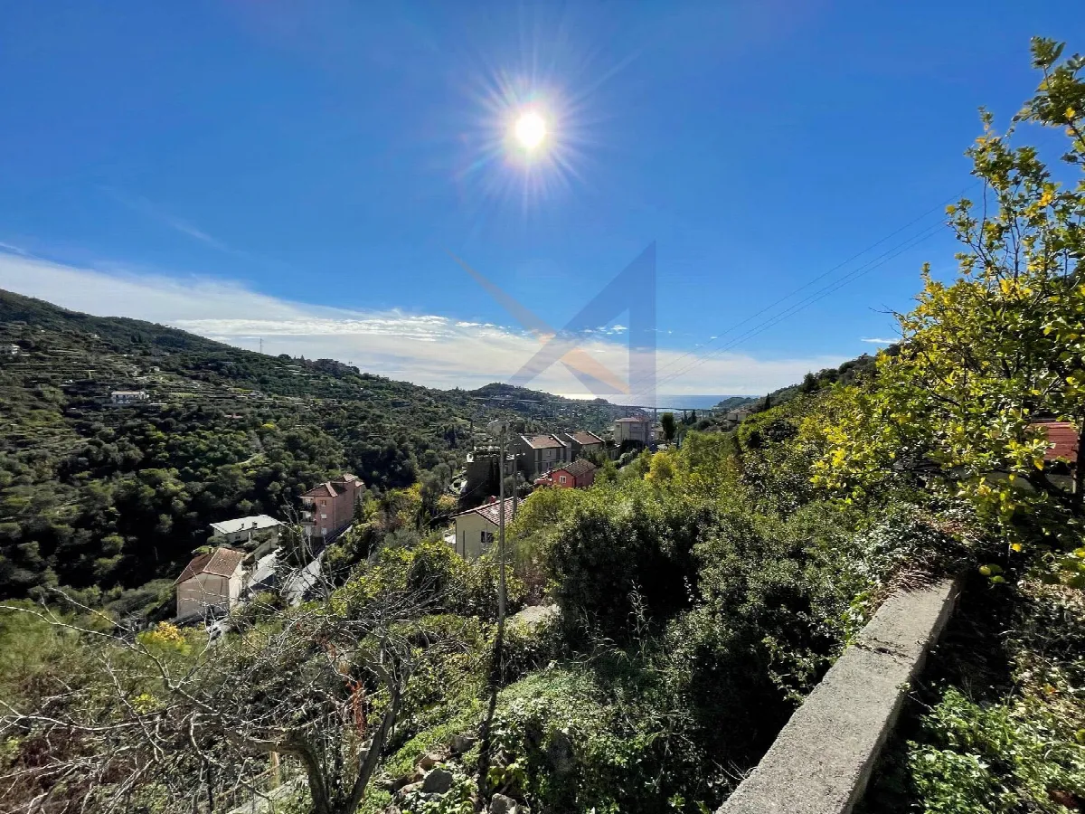 Villa in vendita a Vallebona - foto 4