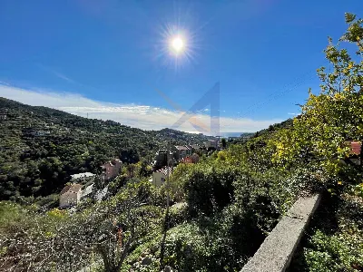 Villa in vendita a Vallebona - foto 4
