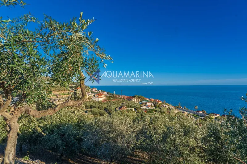 Villa in vendita a Cipressa - foto 1
