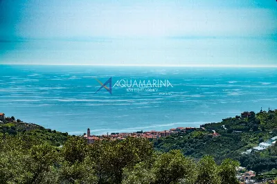 Villa in vendita a Terzorio - foto 6