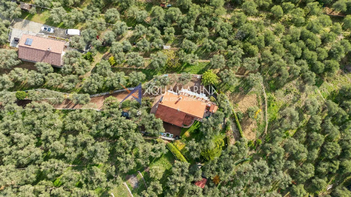 Villa in vendita a Imperia - foto 5