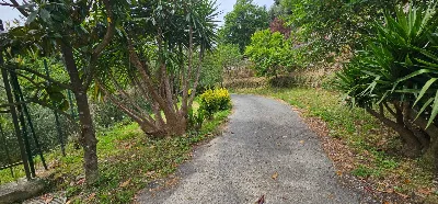 Casa Indipendente in vendita a Mezzanego - foto 10