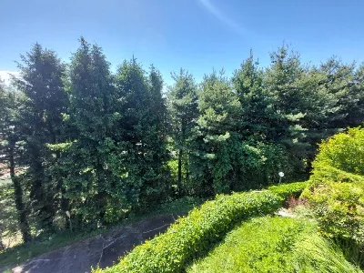 Villa in vendita a Gallarate - foto 4
