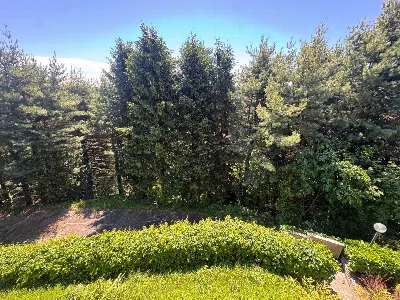 Villa in vendita a Gallarate - foto 6