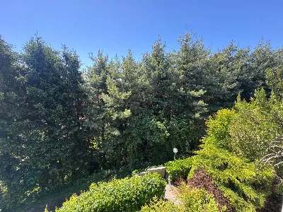 Villa in vendita a Gallarate - foto 7