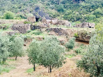 Rustico/Casale in vendita a Leni - foto 10