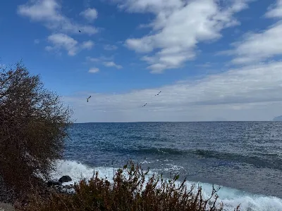 Rustico/Casale in vendita a Santa Marina S... - foto 7