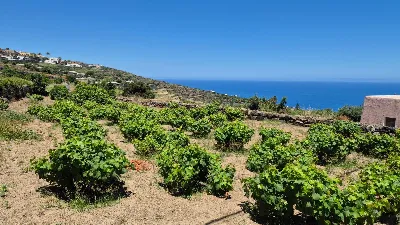 Villa in vendita a Pantelleria - foto 5