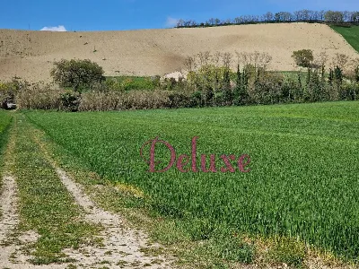 Rustico/Casale in vendita a Macerata - foto 10