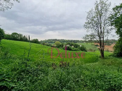 Rustico/Casale in vendita a Montecosaro - foto 4